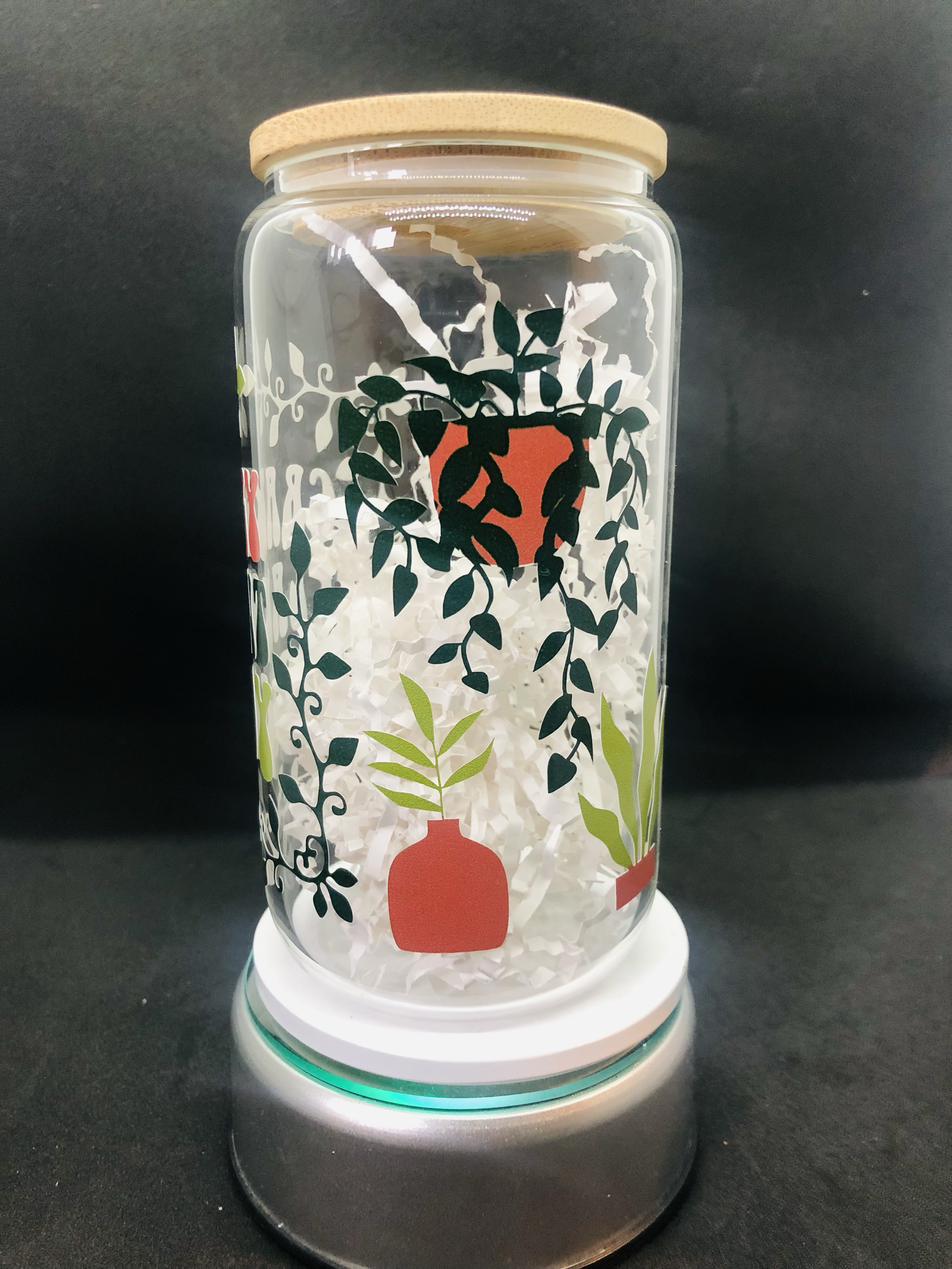 Crazy Plant Lady Glass Beer Can
