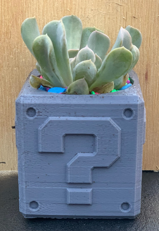 3D Printed Mario Question Block (Local Pickup Only)