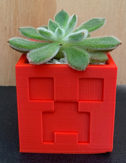 3D Printed Creeper Planter with Succulent (Local Pickup Only)