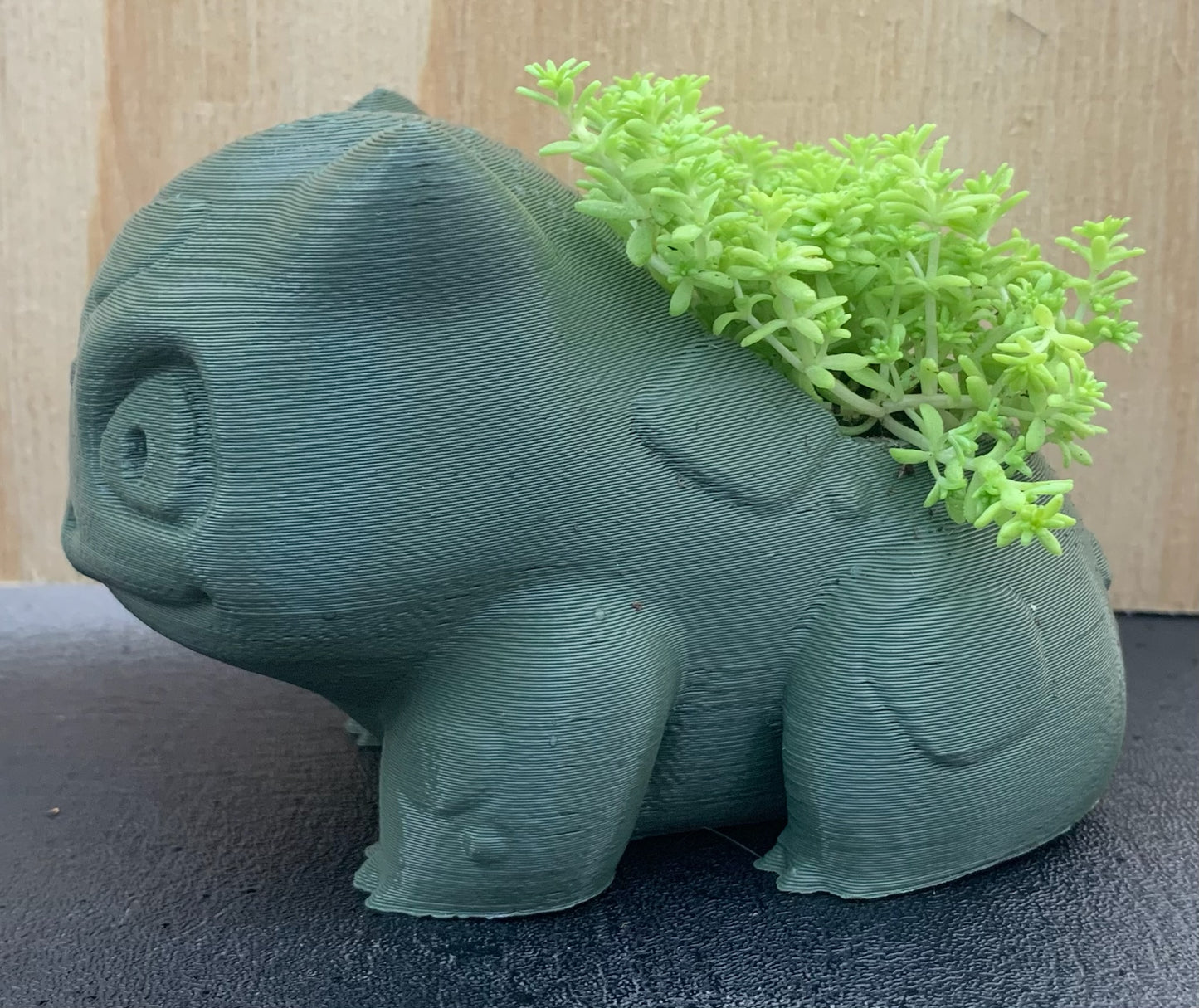 3D Printed Bulbasaur with Succulent Arrangement (Local Pickup Only)