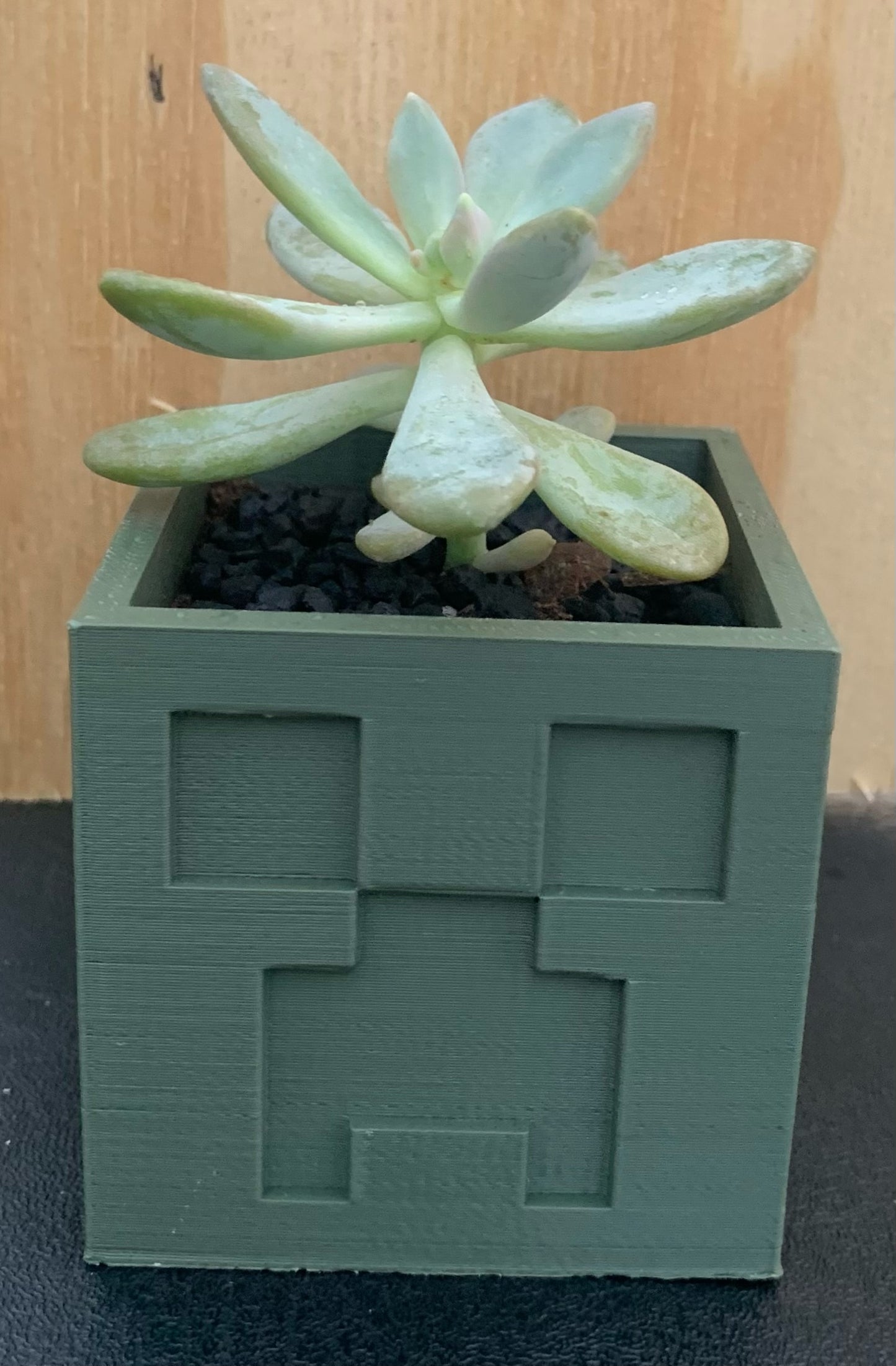 3D Printed Creeper Planter with Succulent (Local Pickup Only)