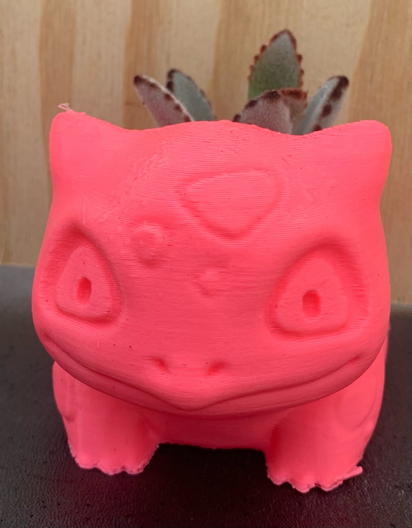 3D Printed Bulbasaur with Succulent Arrangement (Local Pickup Only)