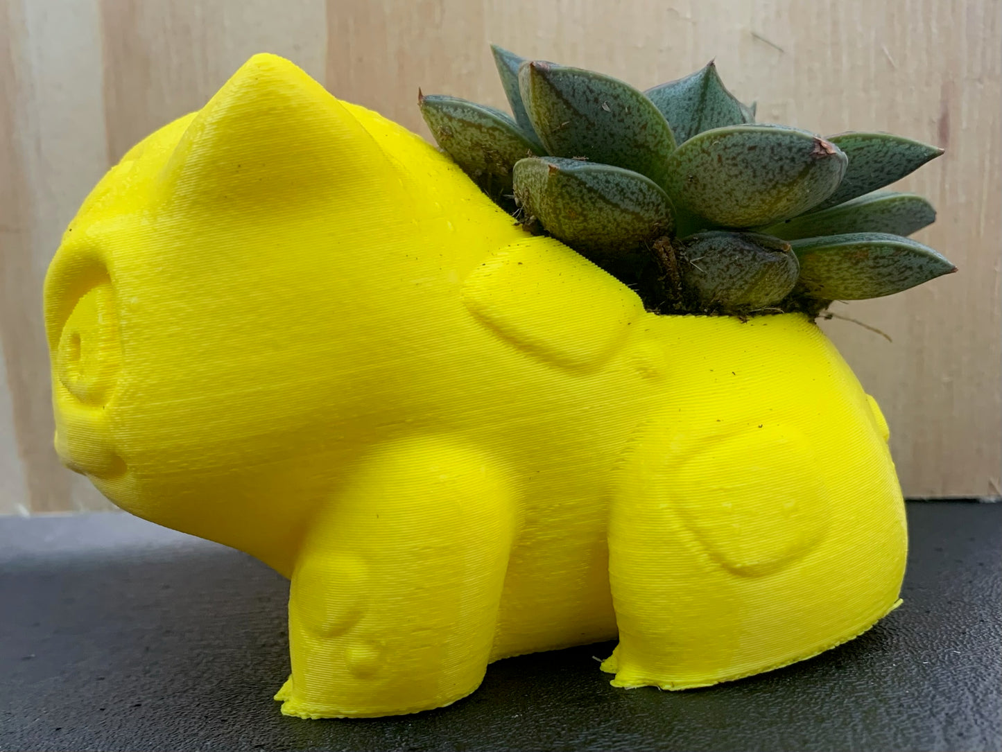 3D Printed Bulbasaur with Succulent Arrangement (Local Pickup Only)