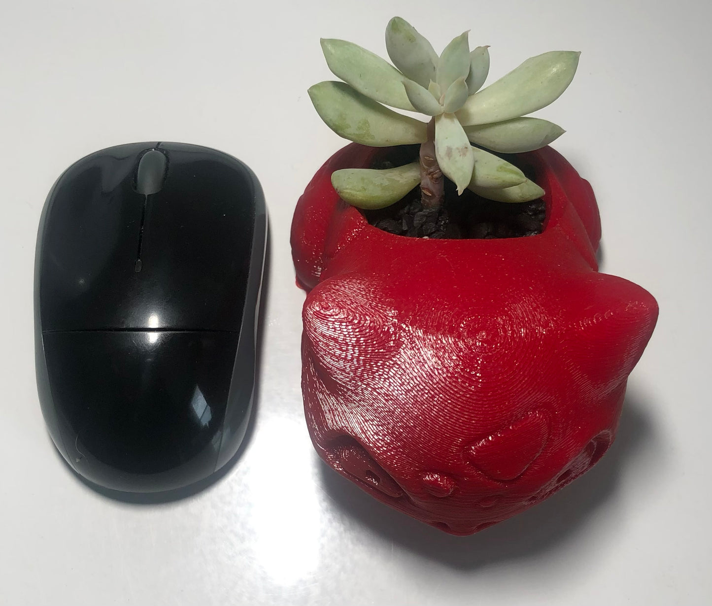 3D Printed Bulbasaur with Succulent Arrangement (Local Pickup Only)