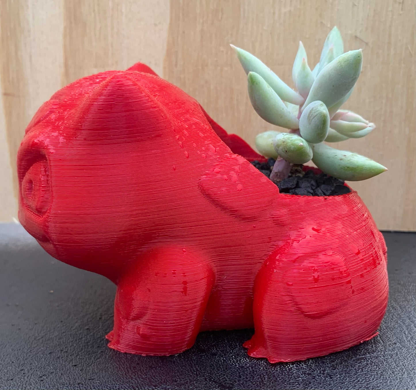 3D Printed Bulbasaur with Succulent Arrangement (Local Pickup Only)