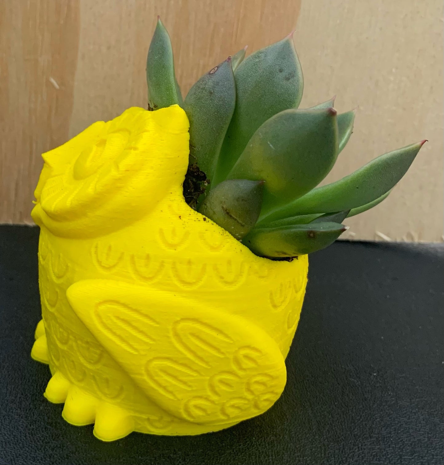 3D Printed Owl Planter with Succulent (Local Pickup Only)